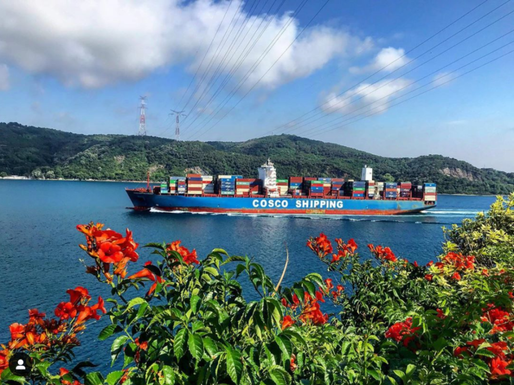 船期延误的“罪魁”之首，可能不是气象