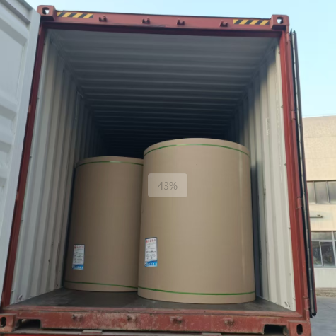 原木卷纸、纸张能够走集装箱海运吗，必要把稳什么？