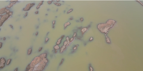 首页- 人生就是博中国官网入口